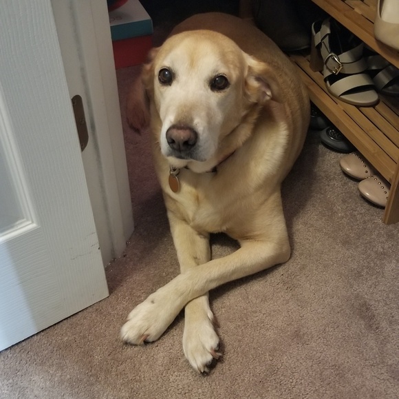 MEET YOUR SELLER/BUYER!! - Picture 5 of 7